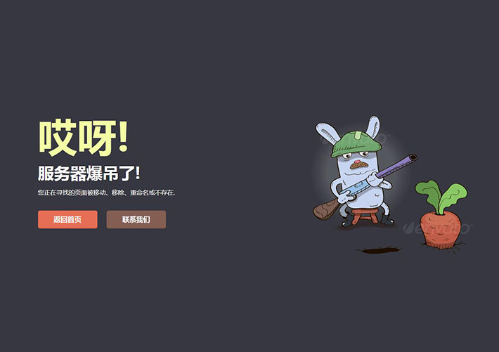 卡通动画网站错误404错误页面网页源码模板