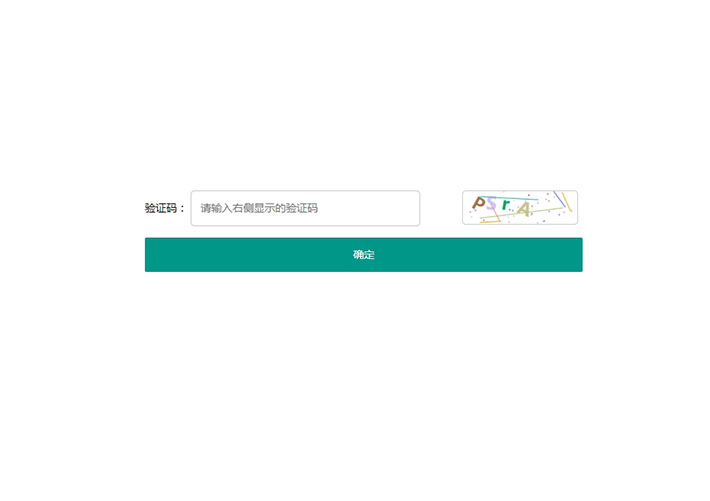 英文数字组合网站网页验证码特效